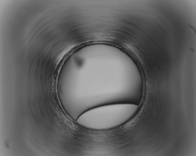 X0000103470875200809121118