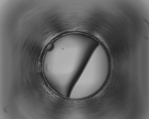 X0000103470876200809121118