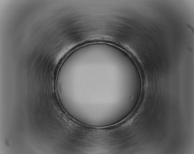 X0000103470877200809121118
