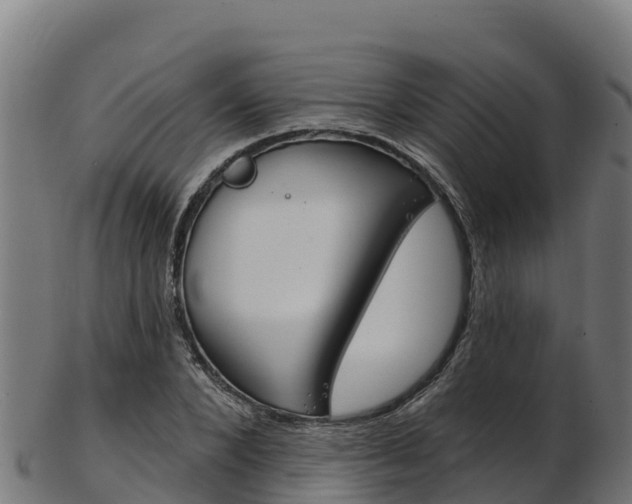 X0000103470880200809121118