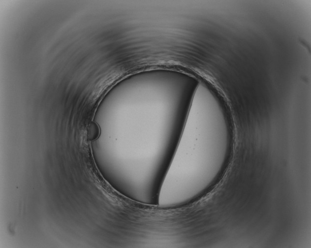 X0000103470881200809121118