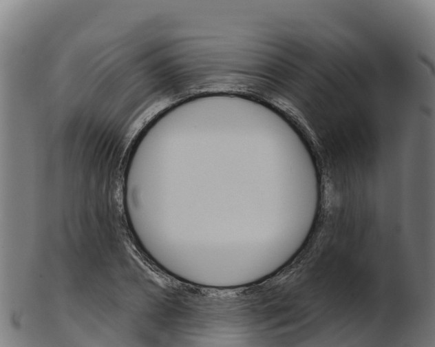 X0000103470882200809121118