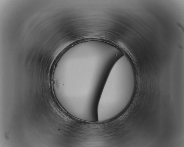 X0000103470884200809121118
