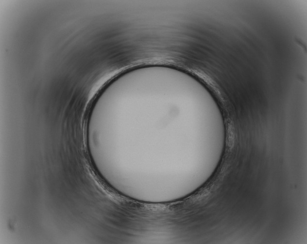 X0000103470886200809121117