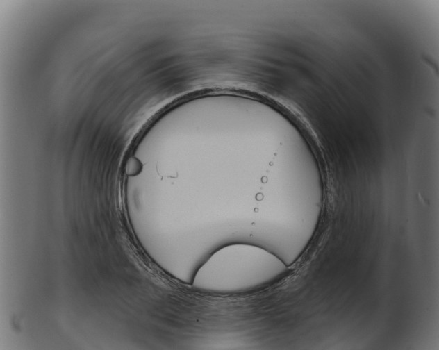 X0000103470887200809121117
