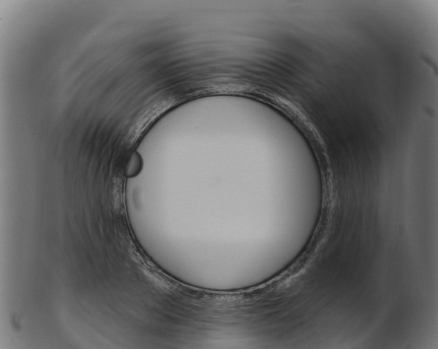 X0000103470889200809121117