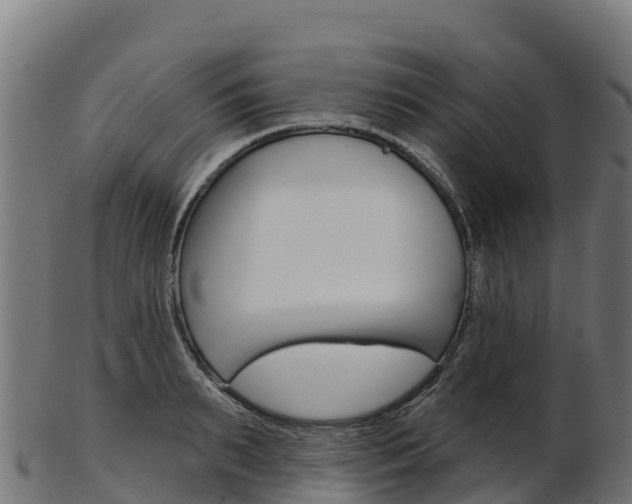 X0000103470895200809121117