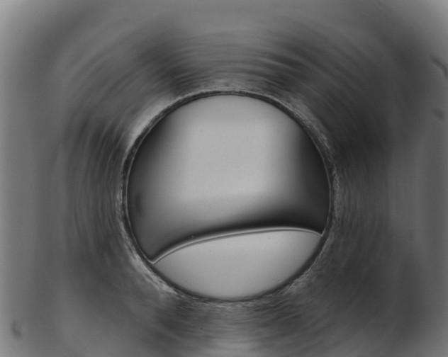 X0000103470896200809121117
