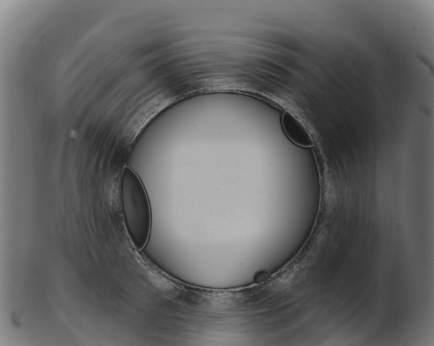X0000103470897200809121117