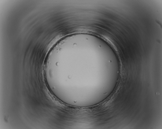 X0000103470899200809121117