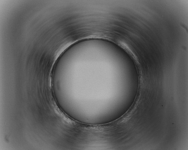 X0000103470900200809121117