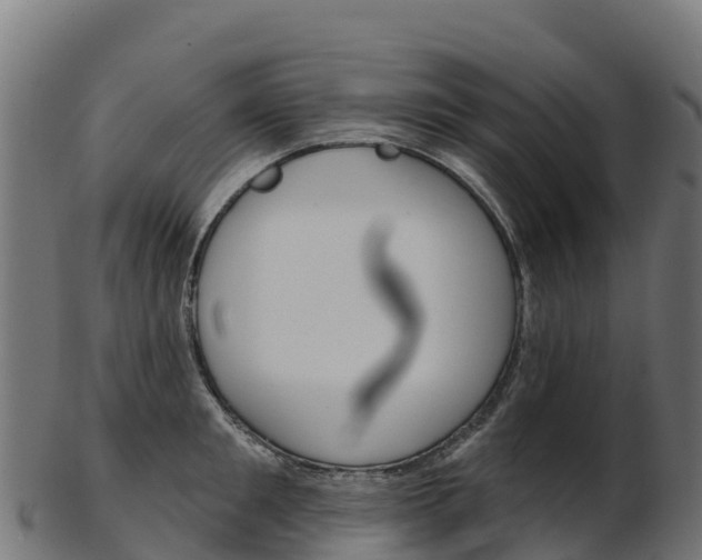 X0000103470901200809121117