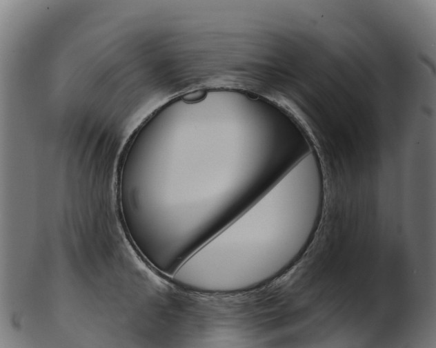 X0000103470902200809121117