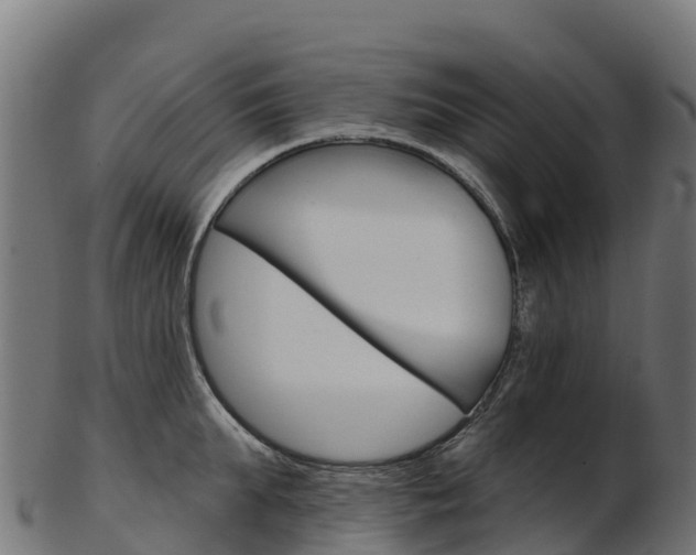 X0000103470903200809121117