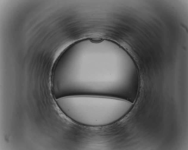 X0000103470904200809121117