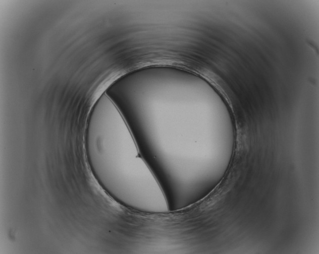 X0000103470906200809121117