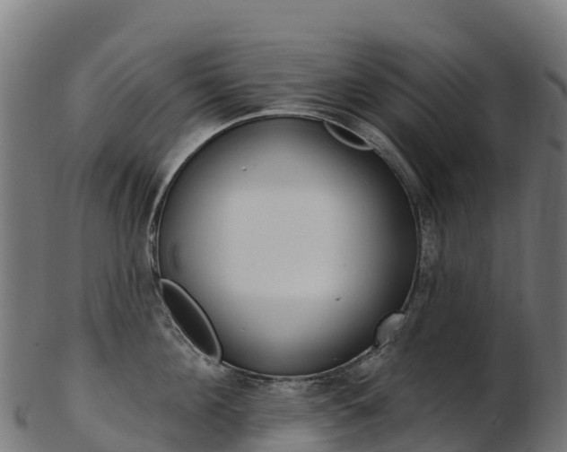 X0000103470908200809121117