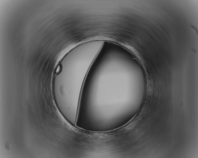 X0000103470910200809121117