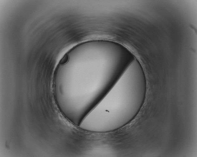 X0000103470912200809121117