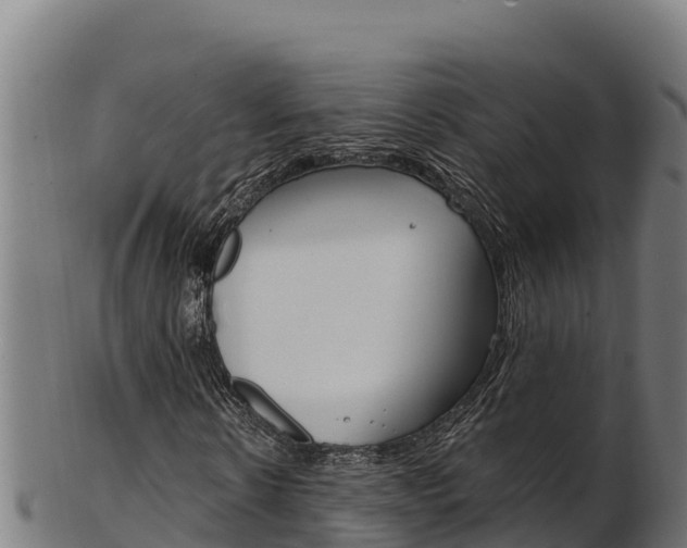 X0000103470914200809121116