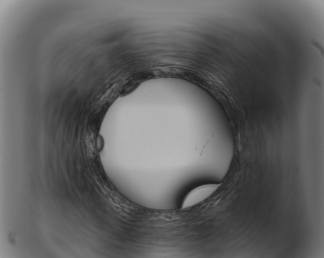 X0000103470915200809121116