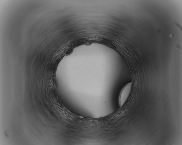 X0000103470916200809121116
