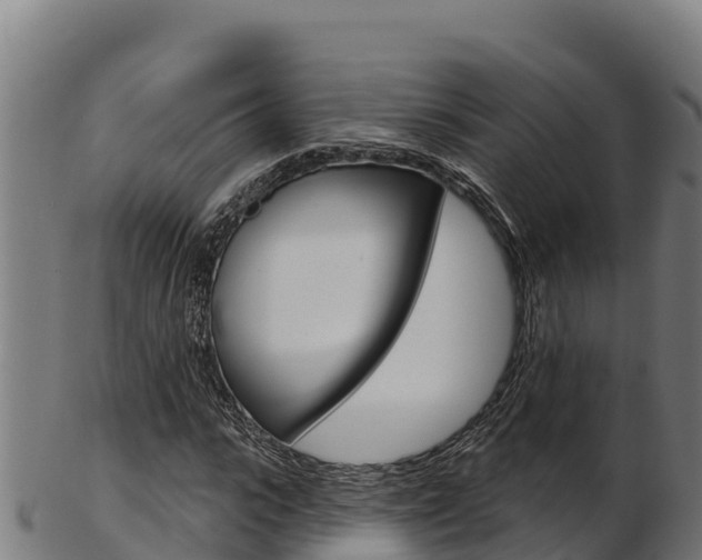 X0000103470919200809121116