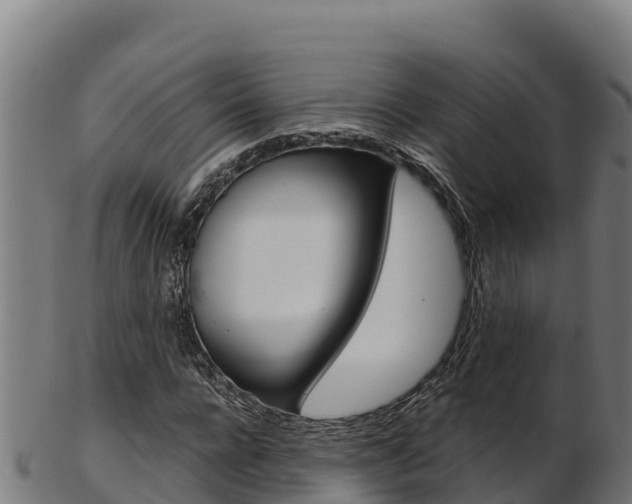 X0000103470920200809121116