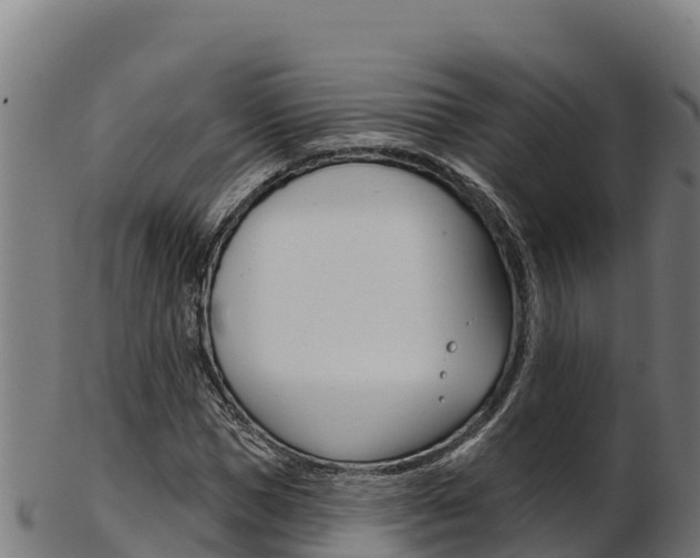 X0000103470921200809121116