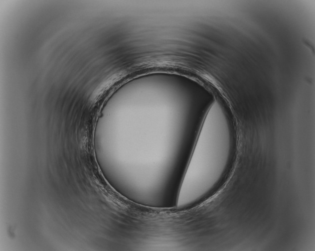 X0000103470922200809121116