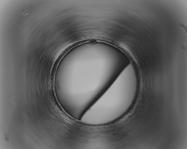 X0000103470924200809121116