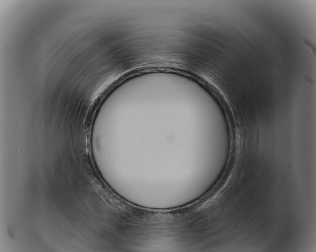 X0000103470925200809121116