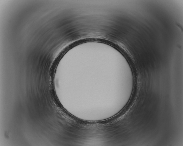 X0000103470926200809121116