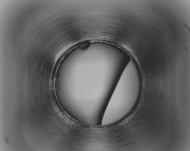 X0000103470928200809121116