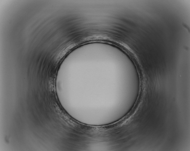 X0000103470929200809121116