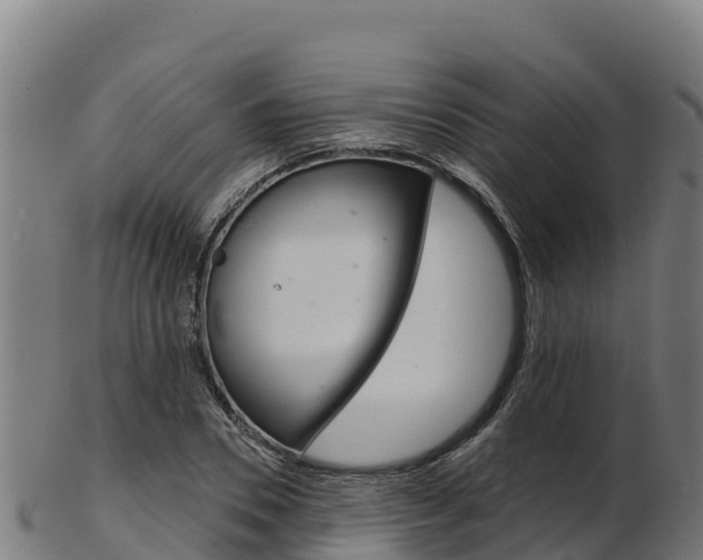 X0000103470930200809121116