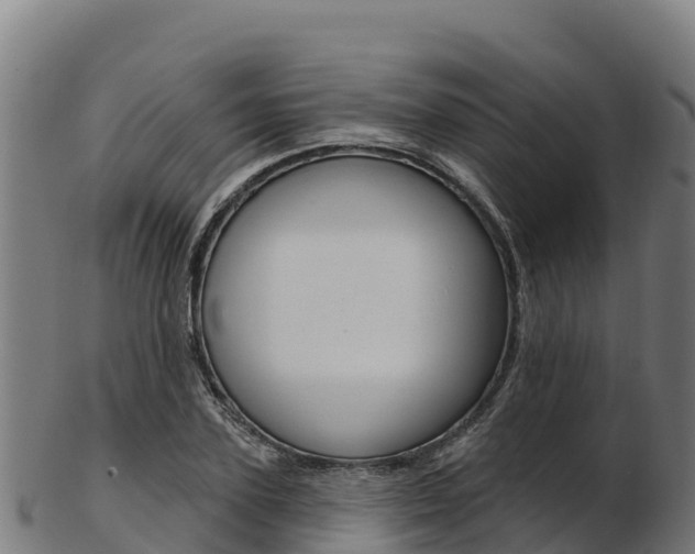 X0000103470931200809121116