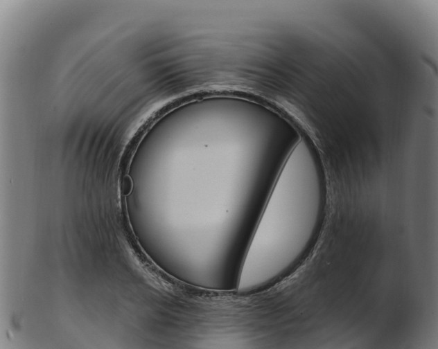 X0000103470934200809121116