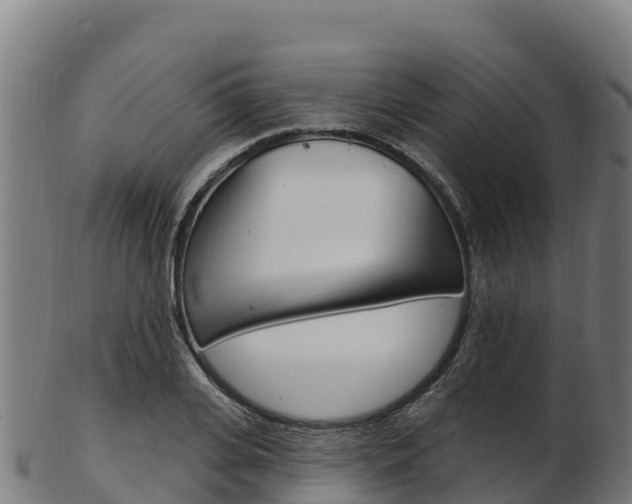 X0000103470935200809121116
