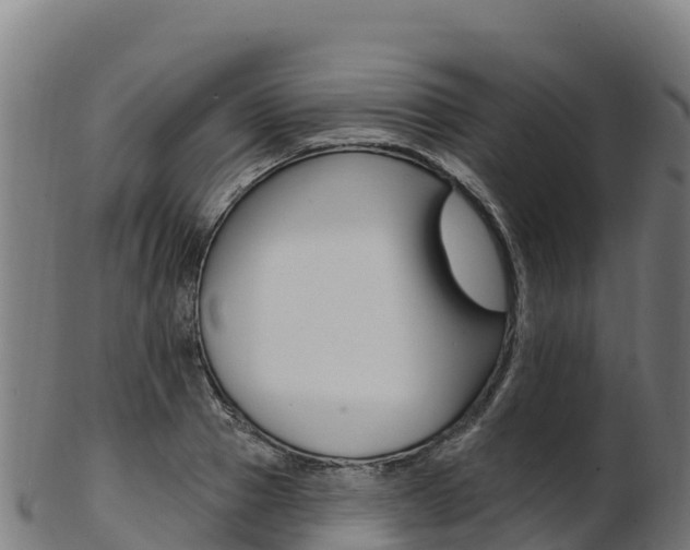 X0000103470937200809121116