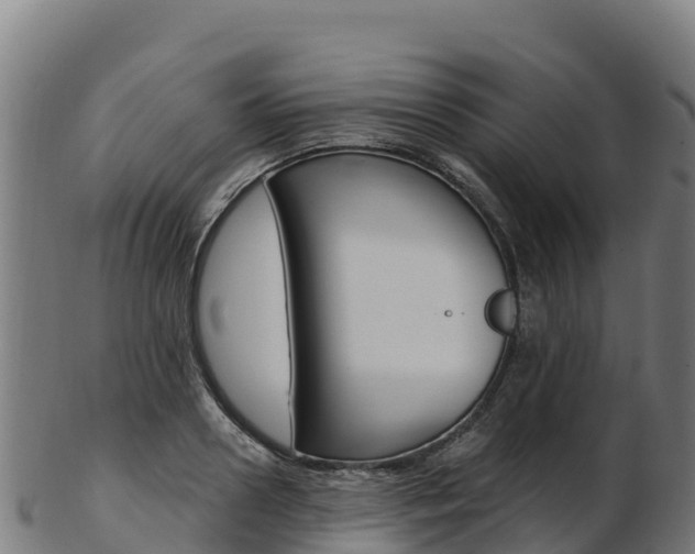 X0000103470938200809121116