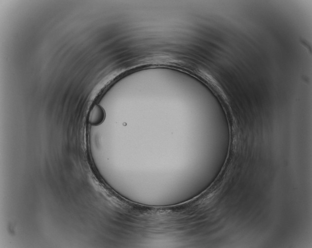 X0000103470939200809121116