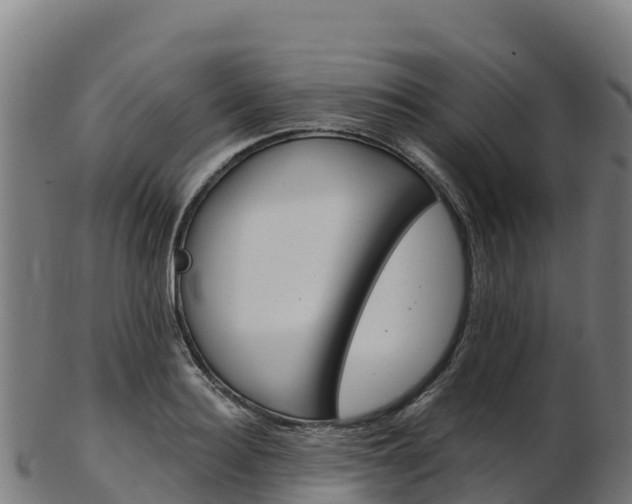 X0000103470940200809121117