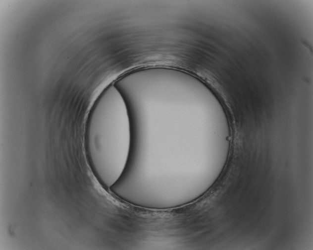 X0000103470941200809121117