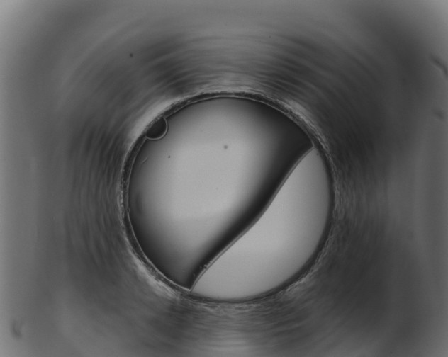 X0000103470942200809121117