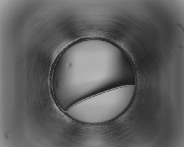 X0000103470943200809121117