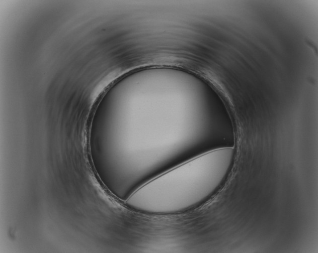 X0000103470944200809121117