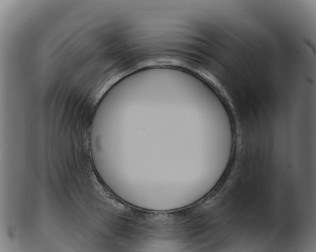 X0000103470945200809121117