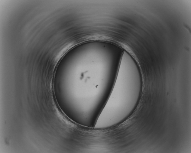 X0000103470946200809121117