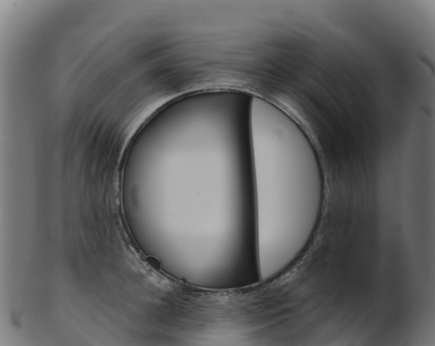 X0000103470948200809121117